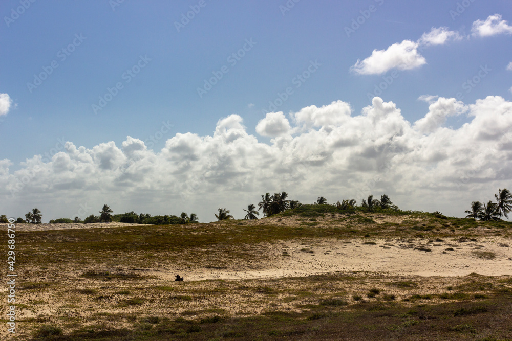 Vegetation and sand dunes of the dry mangrove (Dunas do Mangue Seco) in Bahia providing a beautiful view of the blue sea. A famous place of recording of the soap opera Tieta.