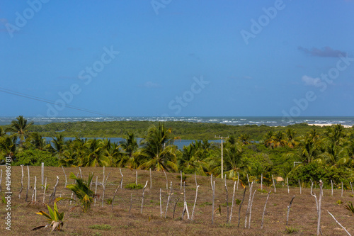 Vegetation and sand dunes of the dry mangrove (Dunas do Mangue Seco) in Bahia providing a beautiful view of the blue sea. A famous place of recording of the soap opera Tieta. photo