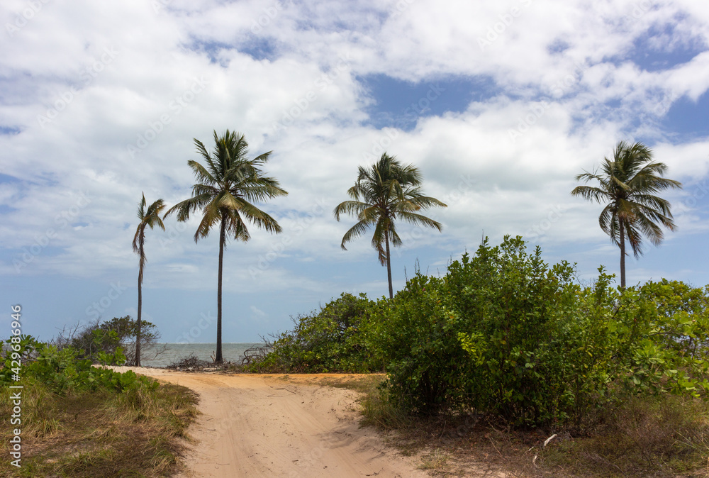 Obraz premium Vegetation and landscape at Ponta do Saco, located at the end of Saco beach. (Praia do Saco) in Estância, Sergipe Brazil