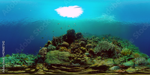 Beautiful underwater landscape with tropical fishes and corals. Life coral reef. Reef Coral Garden Underwater. Philippines. 360 panorama VR