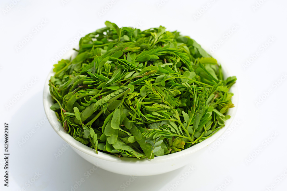 Young tamarind leaves in white bowl for cooking on white Young tamarind leaves in white bowl for cooking on white