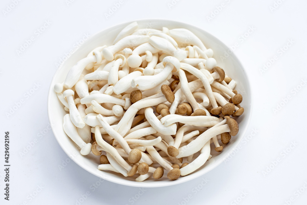 White and brown beech mushroom, Shimeji mushroom, Edible mushroom on white