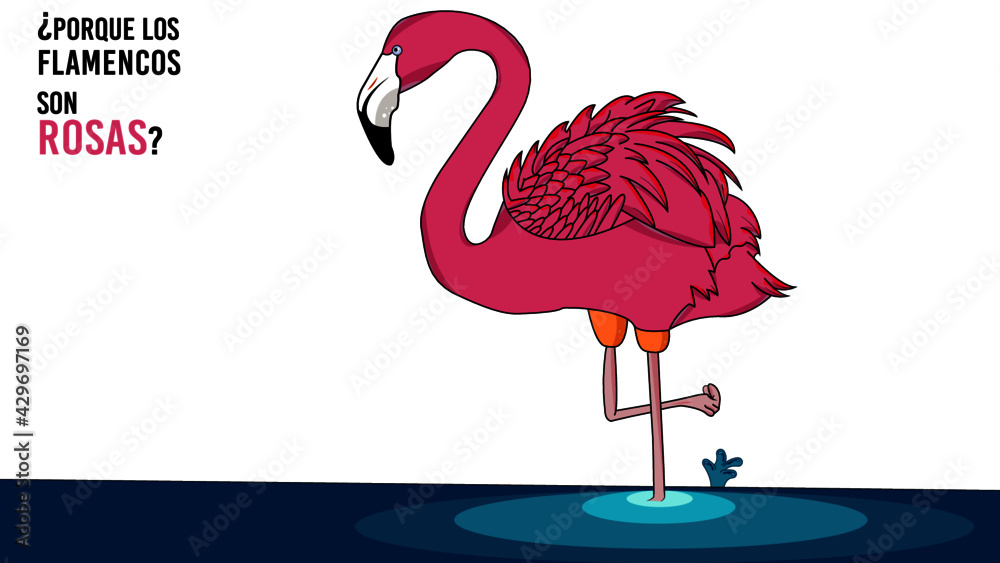 flamenco