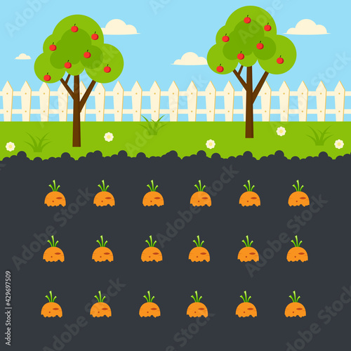 harvesting carrots organic farming illustration