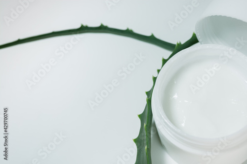 The white box with the cream is surrounded by the leaves of the aloe plant.