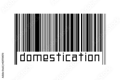 Digitalization concept. Barcode of black horizontal lines with inscription domestication photo