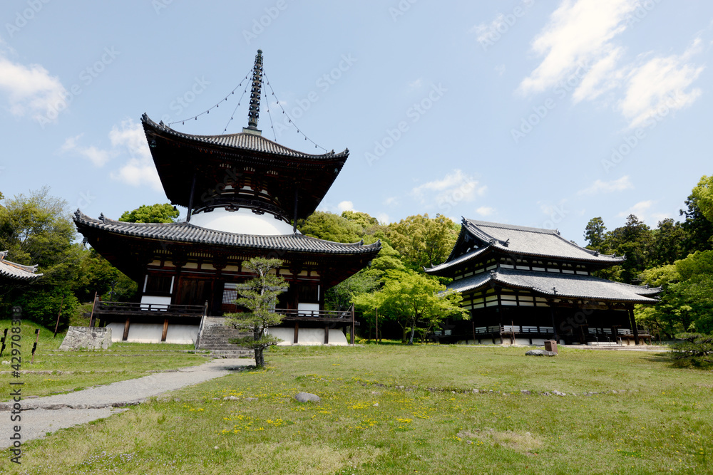 根来寺　大塔と大伝法堂　和歌山県岩出市