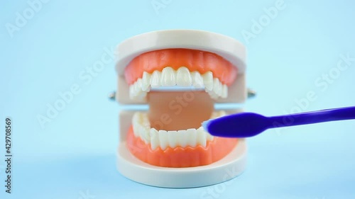 Oral cavity care. how to properly brush teeth with a toothbrush