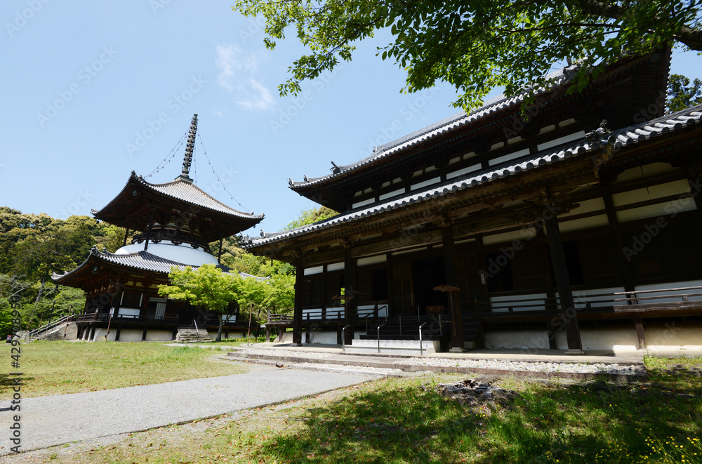 根来寺　大塔と大伝法堂　和歌山県岩出市