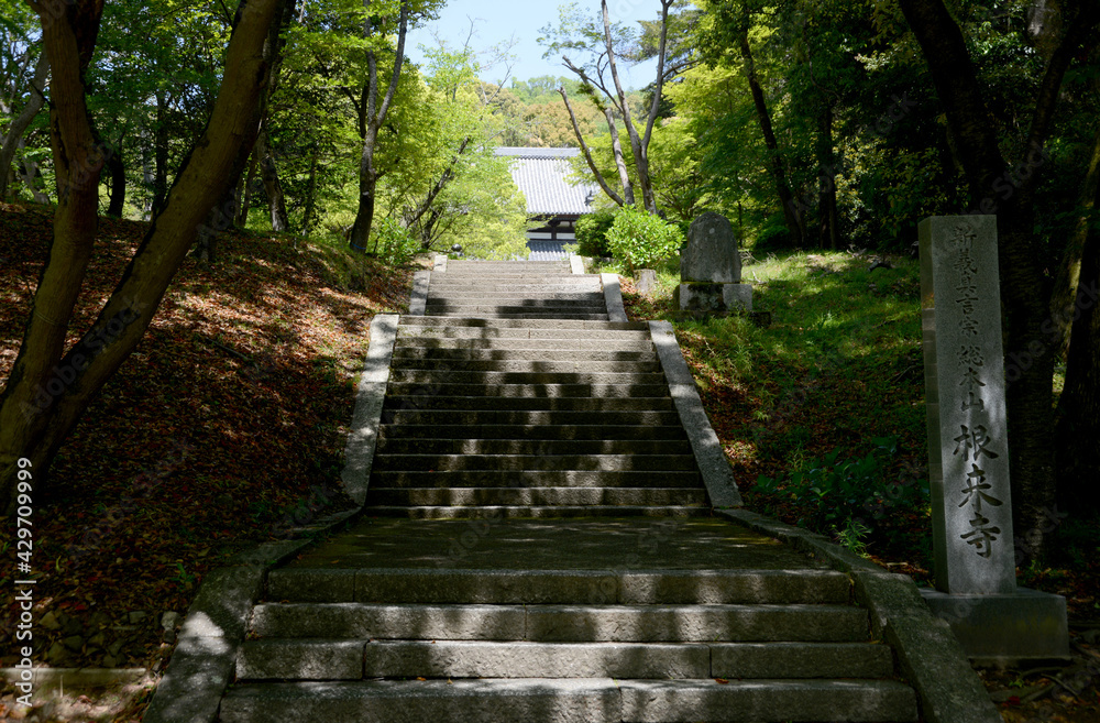 根来寺　大伝法堂参道　和歌山県岩出市