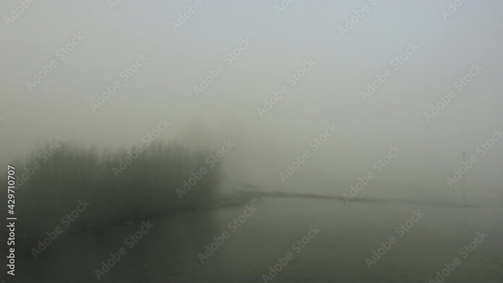 River and bare trees covered with fog, Brakel, Netherlands River and bare trees covered with fog, Brakel, Netherlands