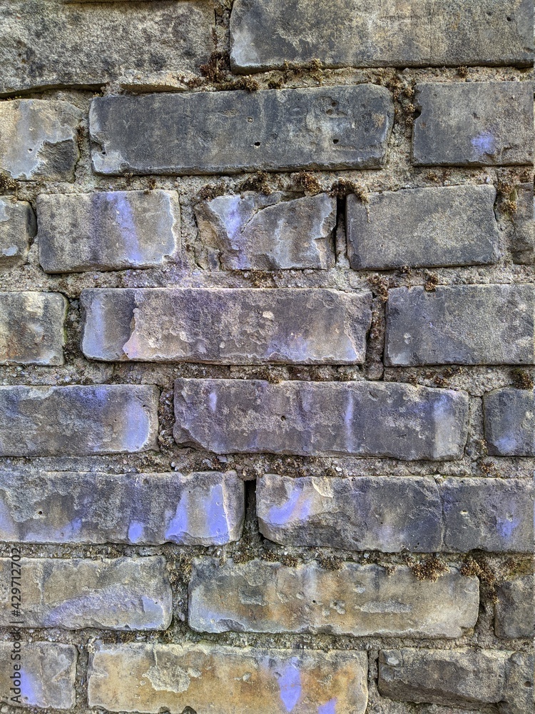 texture and background of old and gray dirty bricks wall texture and background of old and gray dirty bricks wall