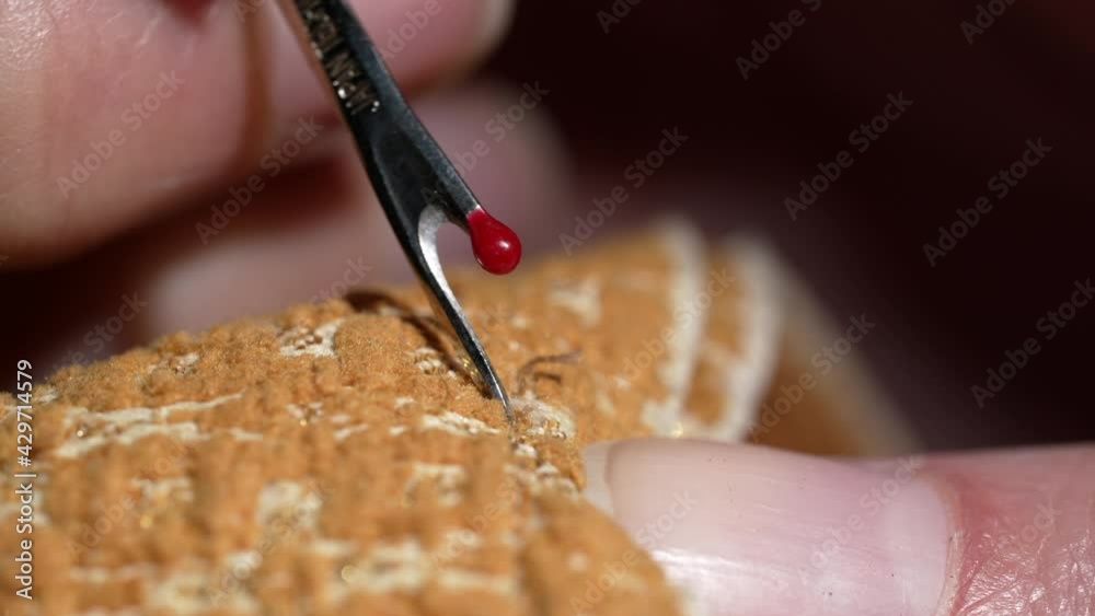 Unsewing This close up macro video shows hands using a seam ripper on fabric to ...