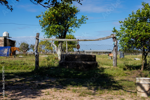 waterhole in the fields