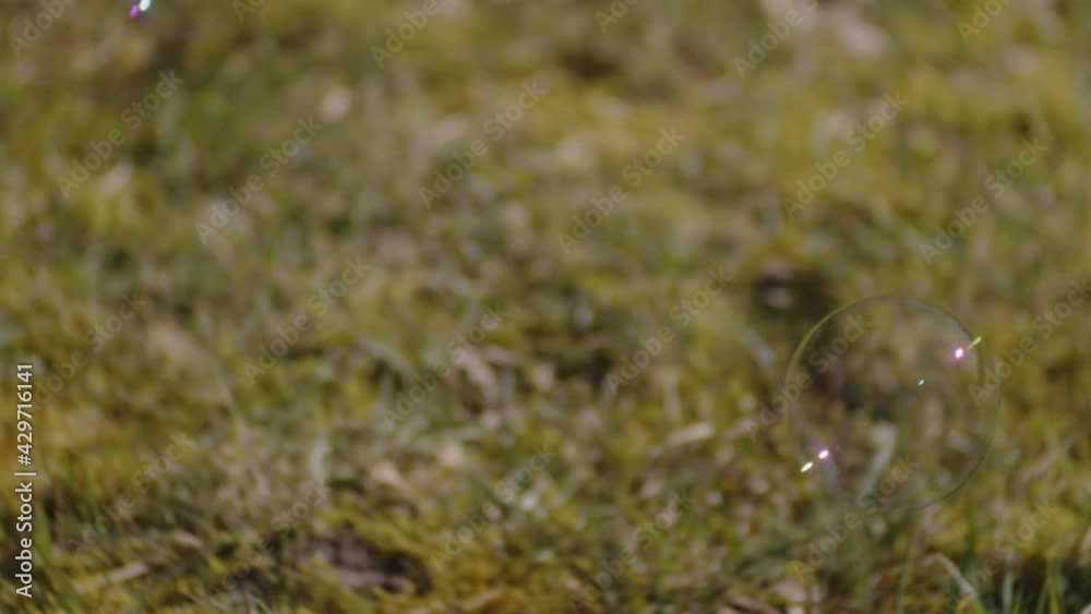 Bubbles Floating On Air In Field Bubbles Floating On Air In Field