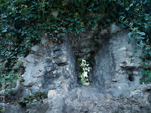 Canvas Print Embrasure covered with plants