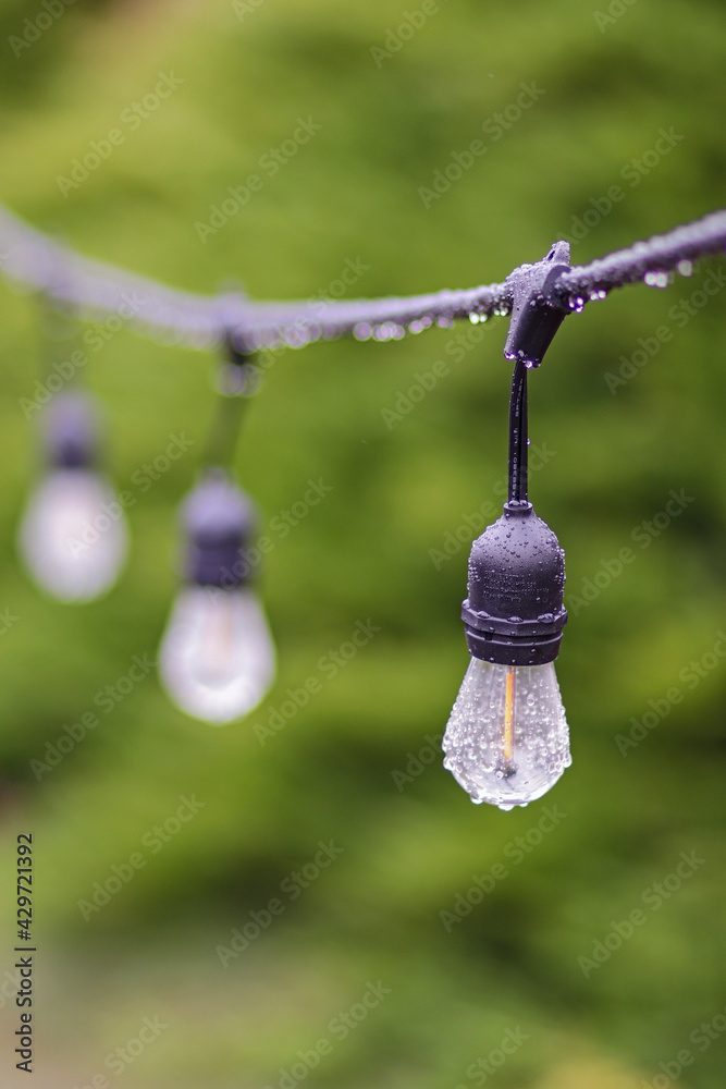 Rain hanging on party lights hanging in the garden Rain hanging on party lights hanging in the garden