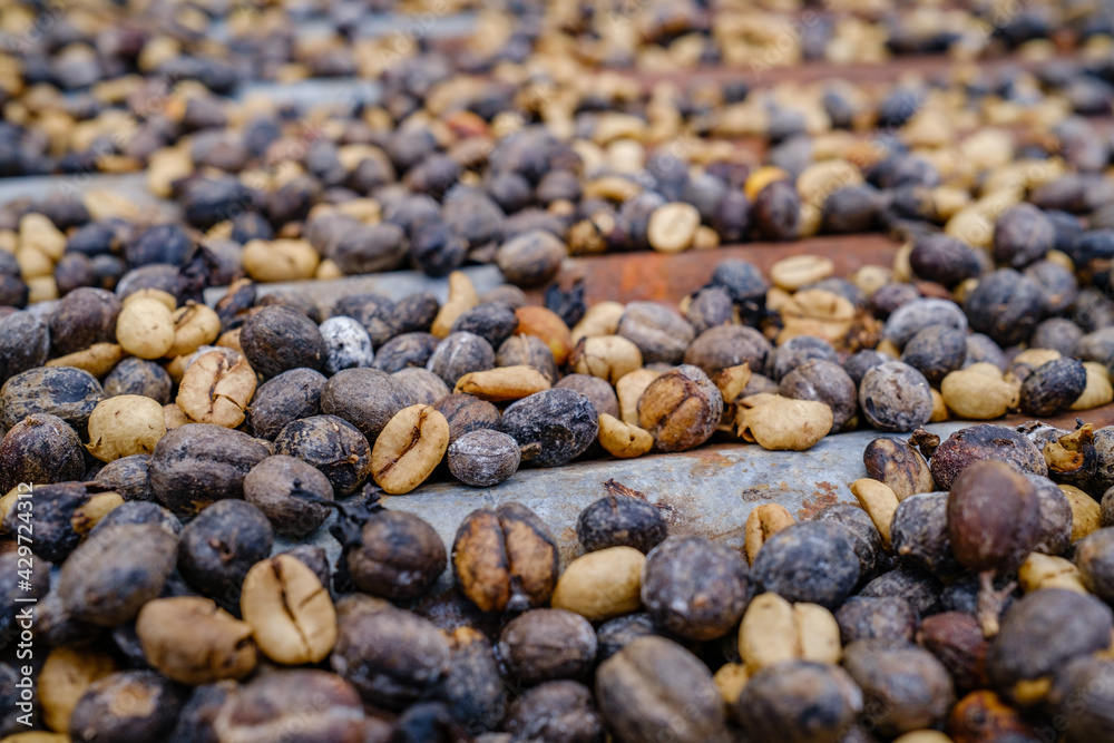 Coffee beans Coffee beans