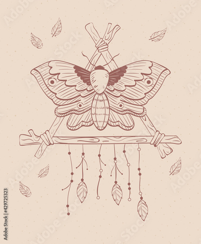 butterfly wooden feathers