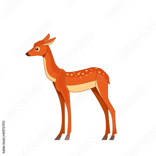 Sika deer isolated on white background. Side view. Cartoon vector flat style illustration