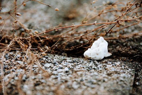 Obraz na plátně Closeup shot of thrown chewing gum on the street