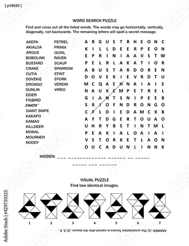 Puzzle page with two brain games: birds themed word search puzzle (English language) and visual puzzle. Black and white, A4 or letter sized. Answer included.
