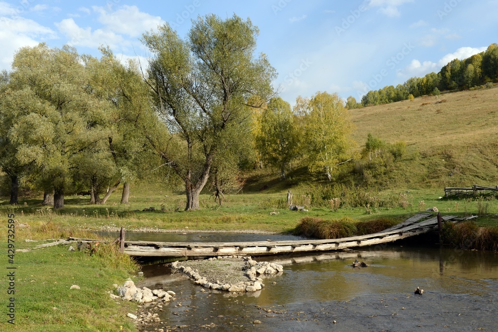 Obraz premium Bridge over the mountain river Yarovka in the taiga village of Generalka, Altai Krai