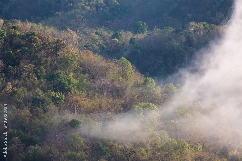 In the hills of Thailand in the rainy summer, the morning mist rises from the trees The wind blows hard, giving the fog a beautiful shape. In the hills of Thailand in the rainy summer, the morning mist rises from the trees The wind blows hard, giving the fog a beautiful shape.