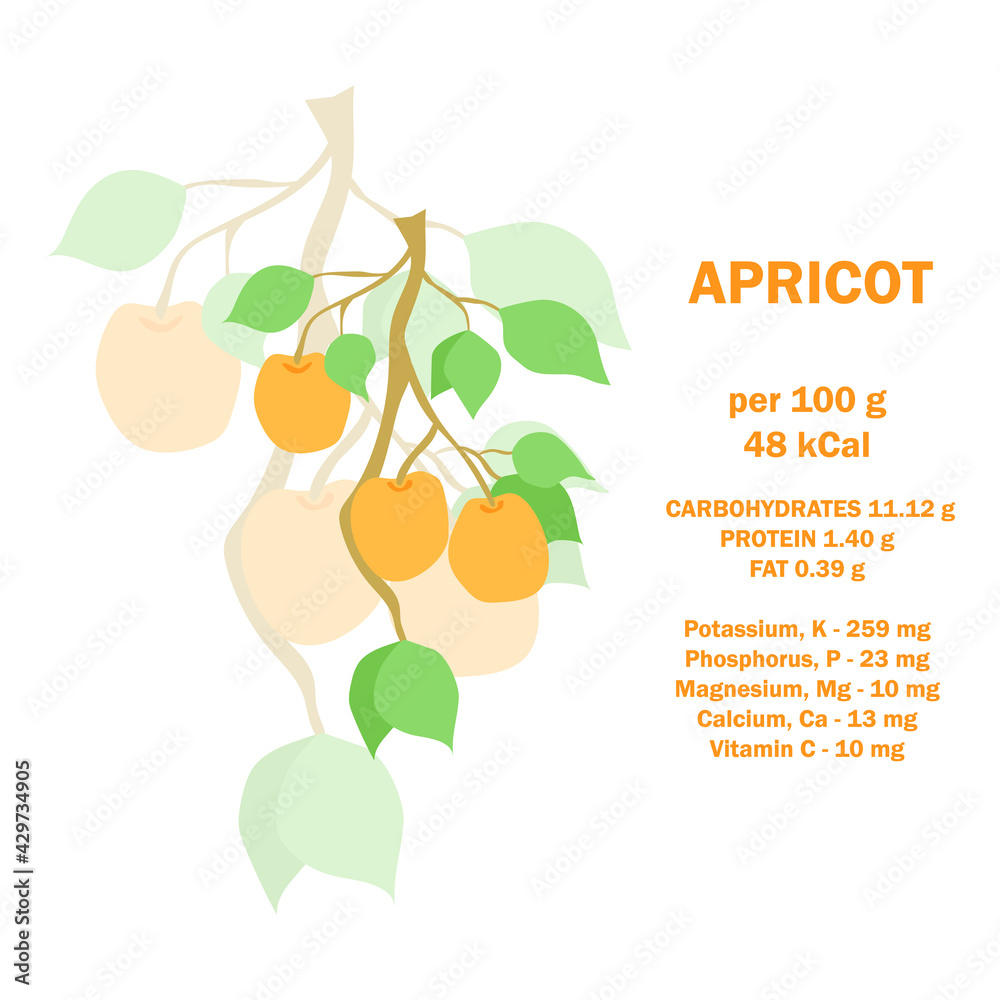Infographic card about calories of apricot 100g. Vitamins, minerals and