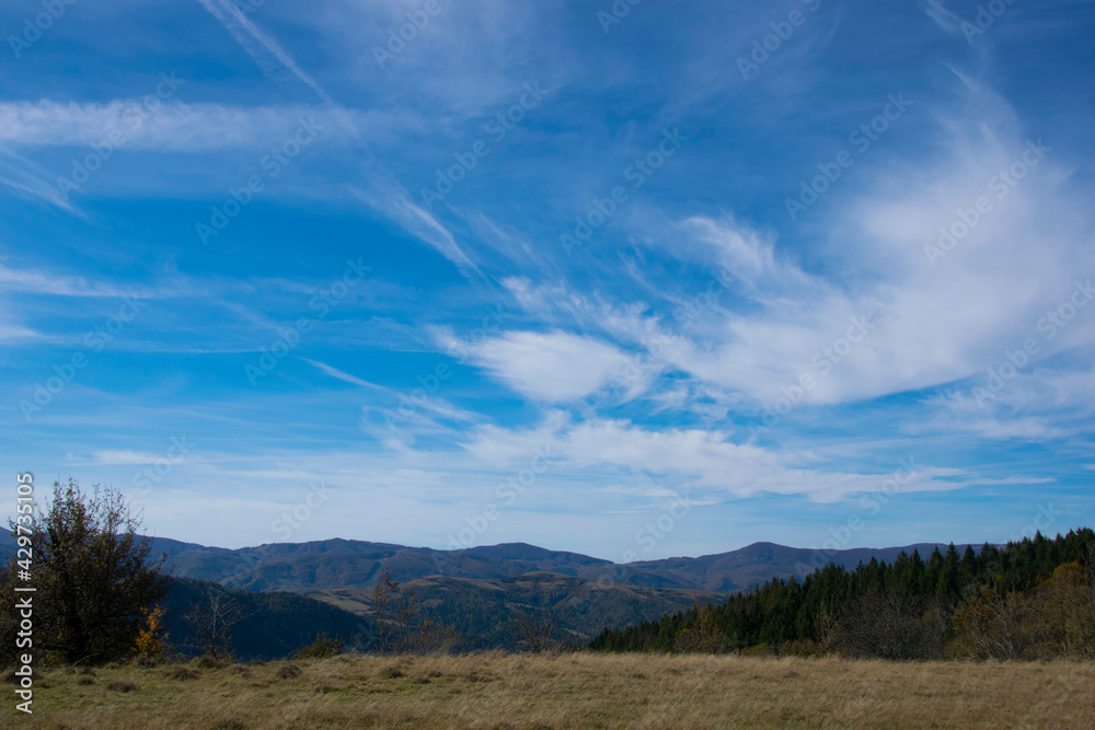 forest mountains blue sky. Majestic view on beautiful mountains, in landscape. Dramatic unusual scene. Travel background. Exploring beauty world. Carpathian mountains. Ukraine. Europe. forest mountains blue sky. Majestic view on beautiful mountains, in landscape. Dramatic unusual scene. Travel background. Exploring beauty world. Carpathian mountains. Ukraine. Europe.