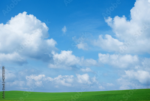 Landscape of grass field and cloud blue sky background use as natural background,backdrop
