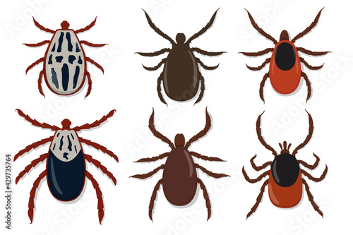 Insect vector, Mite vector, set Mite, Insect Mite.