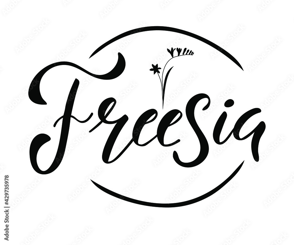 Hand sketched word freesia. Floral label. Suitable for ads, signboards, identity and wedding designs. Hand sketched word freesia. Floral label. Suitable for ads, signboards, identity and wedding designs.