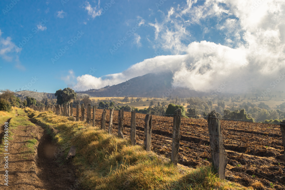 dirt path with a fence next to some crops in the middle of the green rural area in the middle of a warm morning in the vicinity of the Turrialba volcano