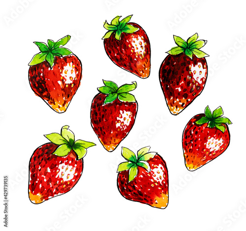 Watercolor strawberry with leafs closeup isolated on white background