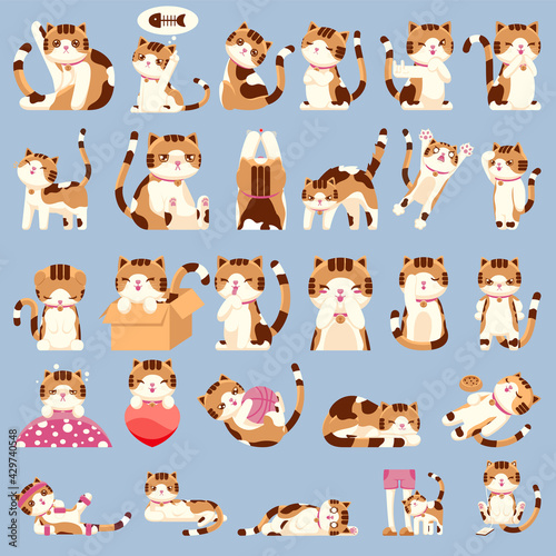 Set of Cute Calico Cat Character