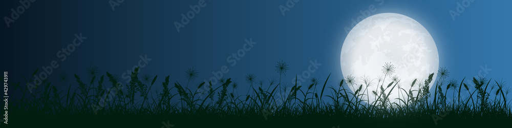 Obraz premium starry night and full moon with grass