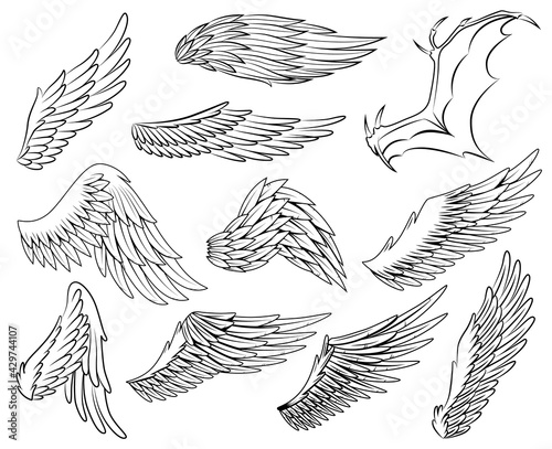 Collection of vintage heraldic wings sketch. Monochrome stylized birds wings. Hand drawn contoured stiker wing in open position. Design elements in coloring style