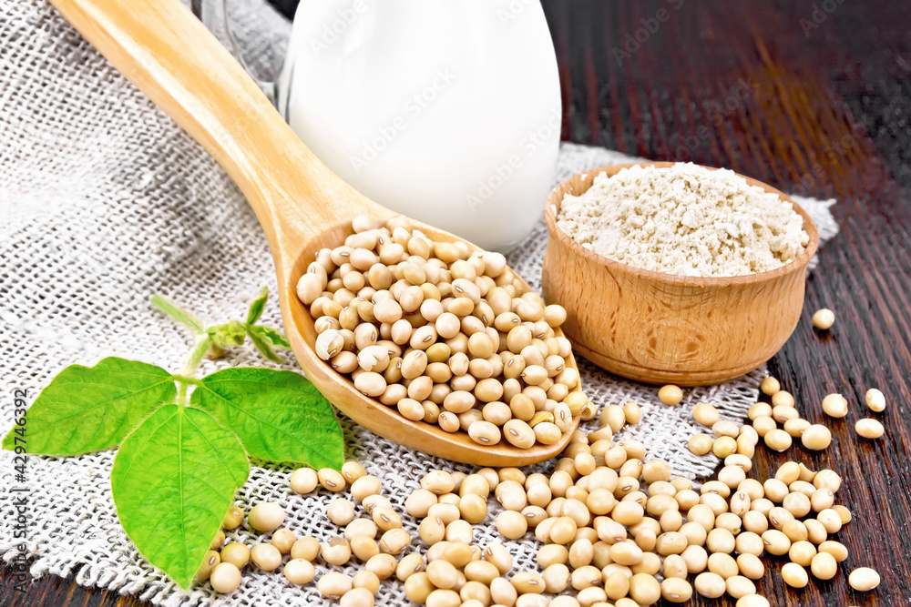 Soybeans in spoon with flour on board Soybeans in spoon with flour on board