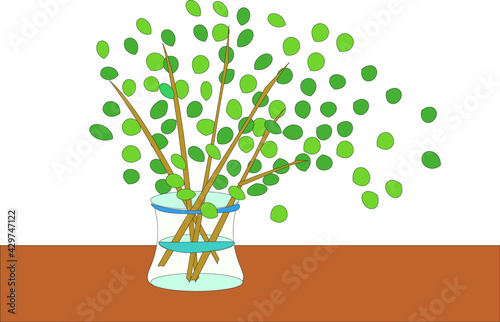透明の花瓶にかざってある植物