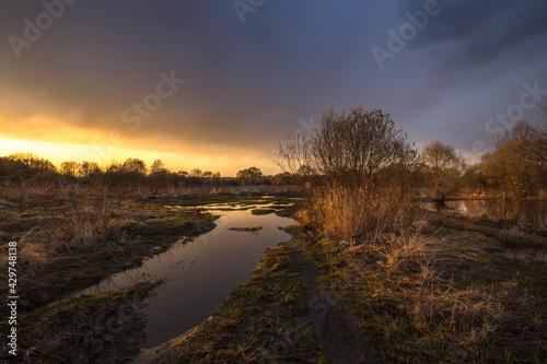 Rural landscape. Trees  bushes and the ground are illuminated by the rays of the setting sun. The sky is covered with clouds. Lead clouds are reflected in the water.