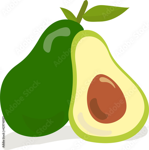 A fresh avocado illustration vector for children's textbooks