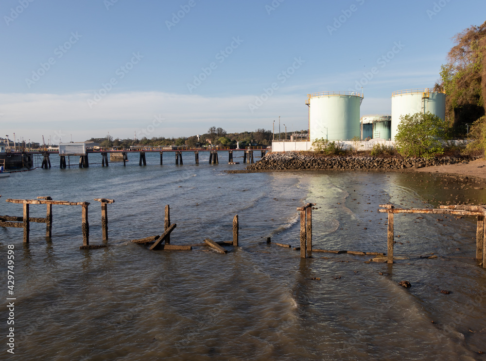 Obraz premium plant in the harbor