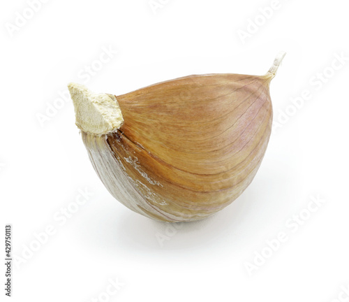 Fresh garlic clove or Allium sativum, Spices ingredient for cooking, Isolated on white background cut out with clipping path