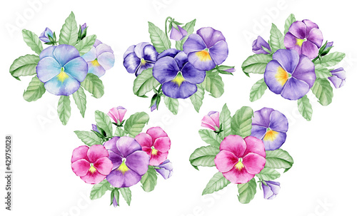 Violas, a hand-drawn garden plant. Watercolor set, bouquets of pansy flowers, on an isolated background.
