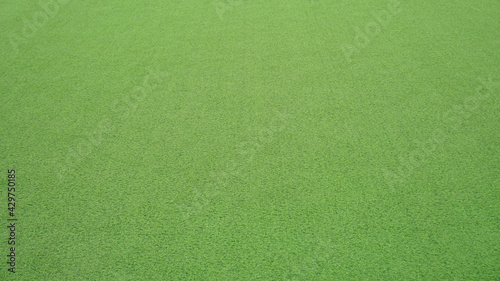 Artificial grass, Green lawn for texture background, Perspective view