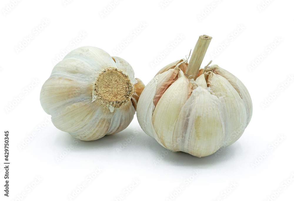 Obraz premium Fresh garlic or Allium sativum, Spices ingredient for cooking, Isolated on white background cut out with clipping path