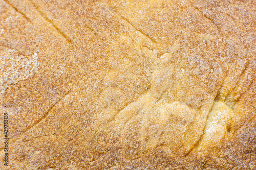 Roasted Bread texture background. Loaf Bakery concept. Close up, macro photo. Beautiful natural wallpaper.