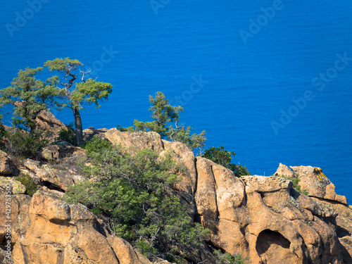 Beautiful view of red rocks with some pine trees on the top of the mountains. The area called Calanques de Piana. Golf of Porto in the background. Seen at hiking trail GR 20. Corsica, France. 