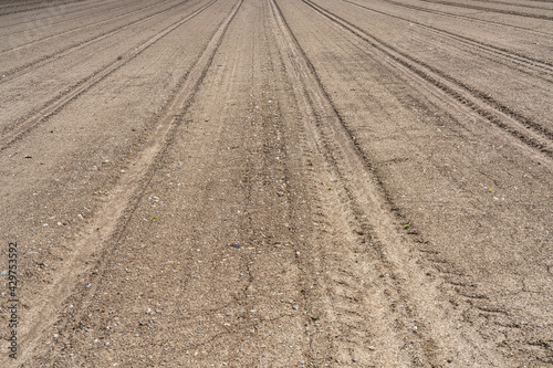 view of the soil of a plowed and pressed field, ready for sowing in spring 